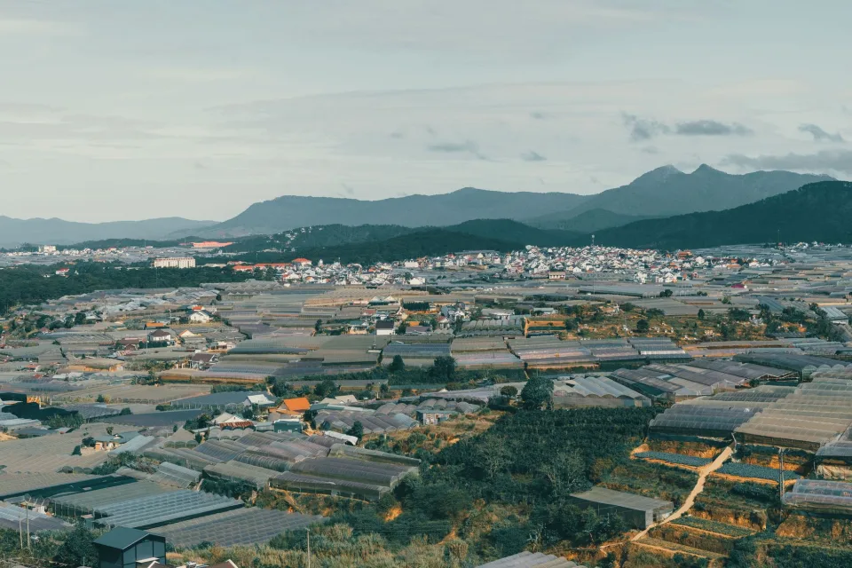 Tại Hỏa Thị Thanh Hoa